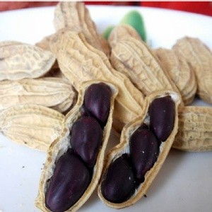 《心益安》黑金剛花生500g/包 特價：$160