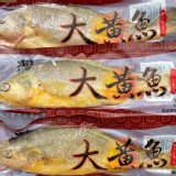鮮凍大黃魚