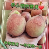紅鈴水蜜桃 規格：900g±5%，8顆裝 特價：$320