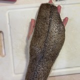 阿拉斯加劍齒鰈魚片