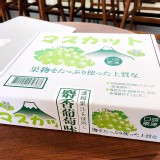 麝香葡萄味口袋果凍 【盒裝限量】