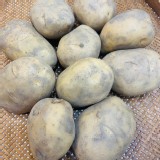 馬鈴薯--2斤