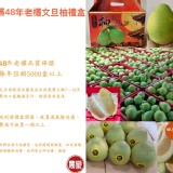 48年老欉文旦5斤