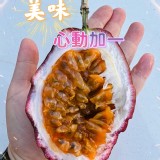 滿天星百香果--4.5斤