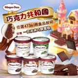 Häagen-Dazs大品脫473ml