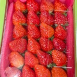 大湖草莓24顆--2盒 特價：$176