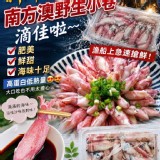 南方澳野生小卷