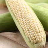 【鮮綠農業】尚青ㄟ白水果玉米 |