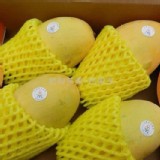 在欉黃-金煌芒果5斤