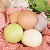 綜合口味【五入】鮮、芋、抹、咖、黑