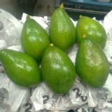 酪梨(黑金品種一顆顆