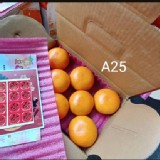 茂谷柑6粒(25A)散裝沒禮盒