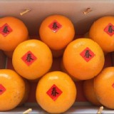 台中東勢明正里茂谷柑(大果)6粒