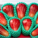 蓮霧手提精巧禮盒(大果等級)4