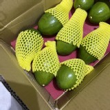 屏東有機酪梨(一顆)-同心圓品種
