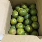 椪柑一袋(4斤) 特價：$100