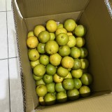 黃肉柳丁一袋(3斤) 特價：$100