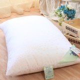 《日本東麗 TORAY》防蹣抗菌壓縮枕 枕心枕頭