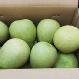 50年老欉鶴岡文旦10斤