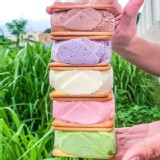 50年老店三明治冰餅 A.牛奶