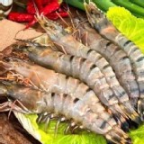 嚴選野生草蝦250g