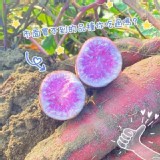 淡紫奶香の菱角地瓜 2.5斤