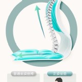 坐姿矯正護腰椅墊 A.綠色