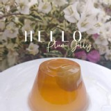 出口日本青梅果凍(100g)