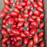 聖女小番茄2盒(600g/盒x2)