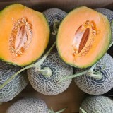 台南七股天華哈蜜瓜 2顆