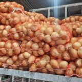 屏東恆春小洋蔥15顆/袋