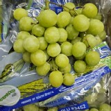 南非秋脆無籽葡萄500g