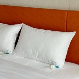 外銷日本-五星級飯店指定專用枕買一送一