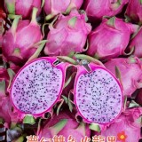 夢幻雙色火龍果 2斤