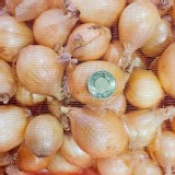 屏東恆春 珍珠洋蔥 16顆/袋