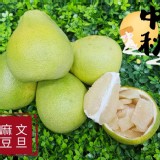 麻豆老欉文旦10斤/箱