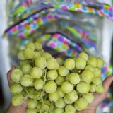 加州頂級糖蜜綠無籽葡萄500g