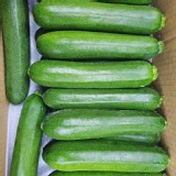 高山嫩綠櫛瓜800g