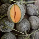 台南七股・天華哈蜜瓜 700~850g/顆