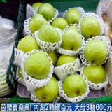 濁水溪珍珠芭樂 4顆