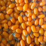 橙蜜香小番茄 500g/盒