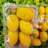 筆柿(一盒4~6顆)