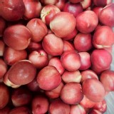 智利甜桃（油桃）7顆