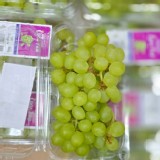 印度綠無籽葡萄500g