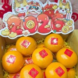 黃金茂谷柑 5斤禮盒裝