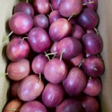 蜜糖百香果600g/袋