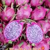 夢幻雙色火龍果 2斤