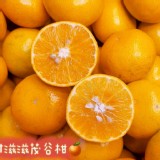 黃金茂谷柑10~12顆