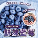 鮮凍藍莓300g
