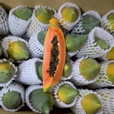 老欉小春木瓜 800g~900g/袋